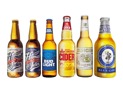 Assorted Branded Beer Bottles Arranged in a Line on White Background 3d model