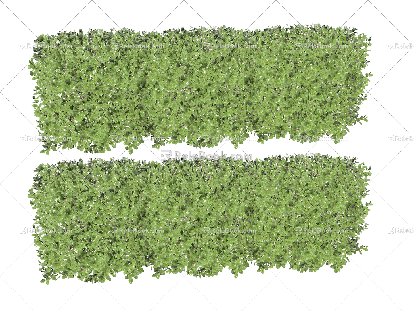 Plant Shrubs 3d model