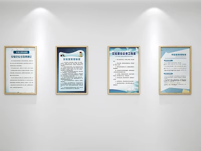 Four Framed Information Documents Displayed On White Wall With Lighting 3d model