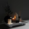 Stylish Bathroom Accessories With White Tray Candles Diffusers Soap And Eucalyptus Plant 3d model