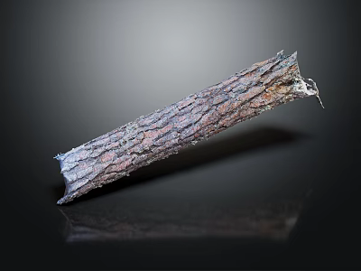 Natural Wood Stone Sliced Piece With Rough Surface Texture And Reflective Base 3d model