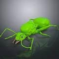 Green Shiny Ant 3D Model With Detailed Body And Legs On Gray Background