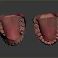 Anatomical Head Organ Models Displaying Teeth Gums And Tongue From Various Angles