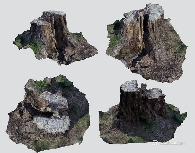 Set of Four Natural Stone Wood Tree Stumps With Textured Bark And Realistic Details 3d model 