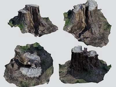 Set of Four Natural Stone Wood Tree Stumps With Textured Bark And Realistic Details 3d model