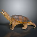 Turtle Turtle Cartoon Turtle Snapping Turtle Chickbill Turtle Reptile Cold Blooded Animal Reptile Reptile Class 3d model