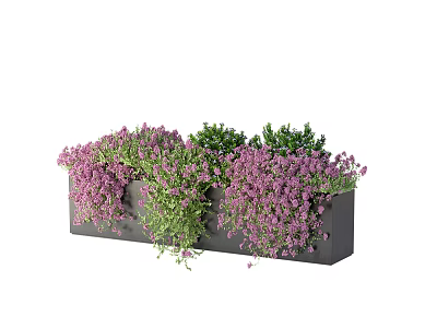 Bonsai Potted Plants With Purple Blooms And Green Foliage In Rectangular Black Planter 3d model