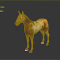 Brown And White Standing Horse Model With Shiny Black Background Reflection 3d model