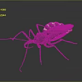 Assassin Bug With Black And White Body Red Spots Long Legs On Dark Background