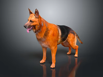 German Shepherd Dog Standing With Tongue Out Brown And Black Fur On Dark Background 3d model