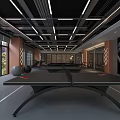 Modern Spacious Fitness Gym Interior With Treadmills Orange Track Lighting And Windows