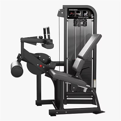 Commercial Grade Leg Extension Sports Equipment With Comfortable Seat And Durable Frame 3d model
