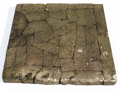 Natural Stone Paved Ground With Moss Covered Irregular Tiles Brownish Gray Textured Surface 3d model