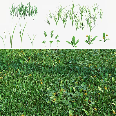 Lush Green Grassland With Diverse Herbs And Yellow Flower Blooms In Natural Growth 3d model