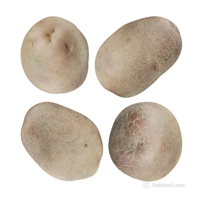 Four Fresh Potatoes With Natural Skin Texture Healthy Vegetable For Cooking 3d model 