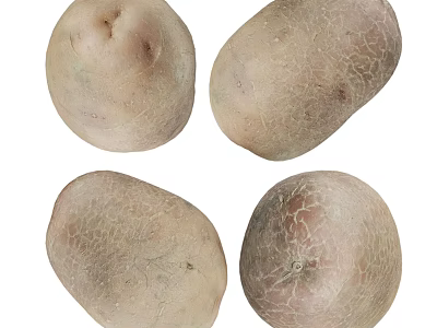 Four Fresh Potatoes With Natural Skin Texture Healthy Vegetable For Cooking 3d model