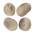 Four Fresh Potatoes With Natural Skin Texture Healthy Vegetable For Cooking