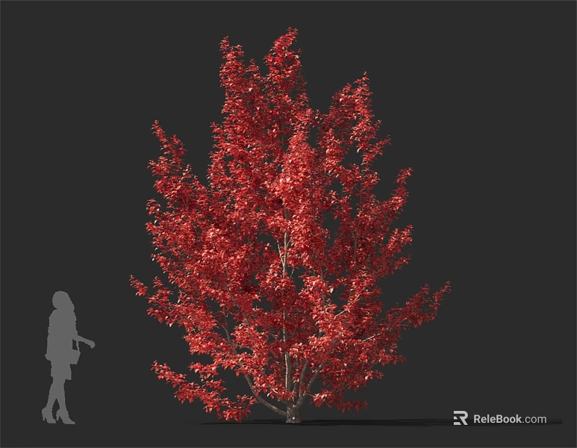 Tall Arbor With Vibrant Red Leaves And Human Silhouette On Gray Background 3d model 