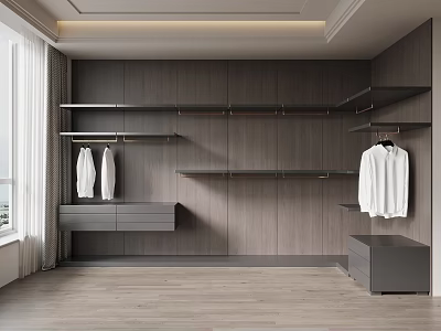 Modern Walk in Closet with Wooden Walls Shelves Hanging Space and Drawer Cabinet 3d model