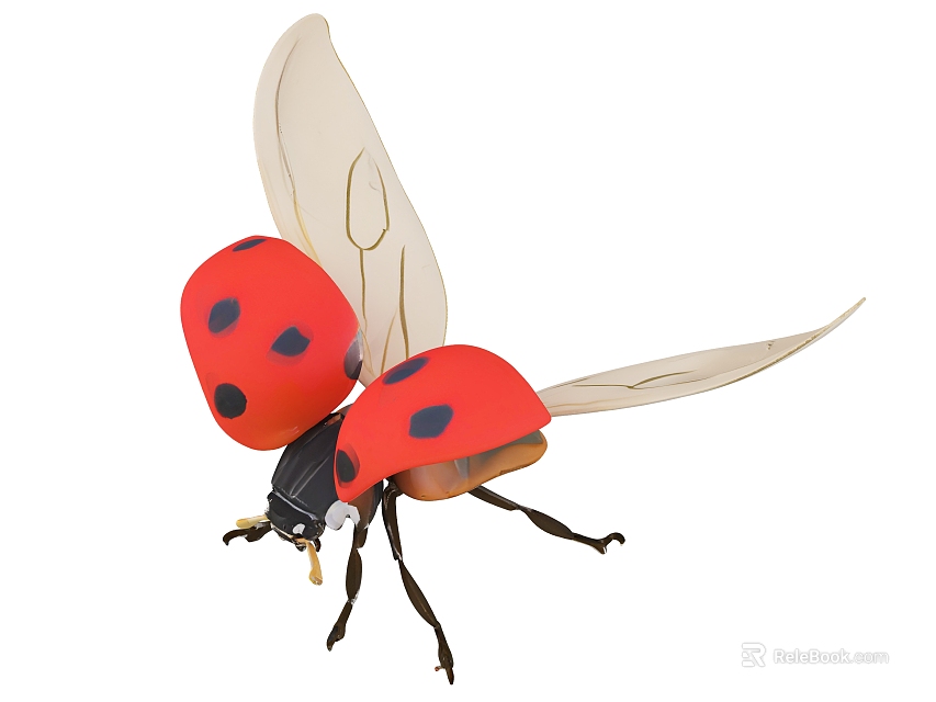 Beautiful Red Flying Ladybug With Black Spots And Transparent Wings 3d model 