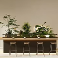 Modern Wooden Coffee Bar Counter With Lush Green Indoor Plants And Comfortable Bar Stools