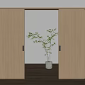 Modern Wooden Sliding Doors Interior With Open Panel And Plant Pot On Wooden Floor