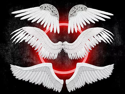 White Wing Wall Decor Set With Three Wings And Red Circle On Black Background 3d model