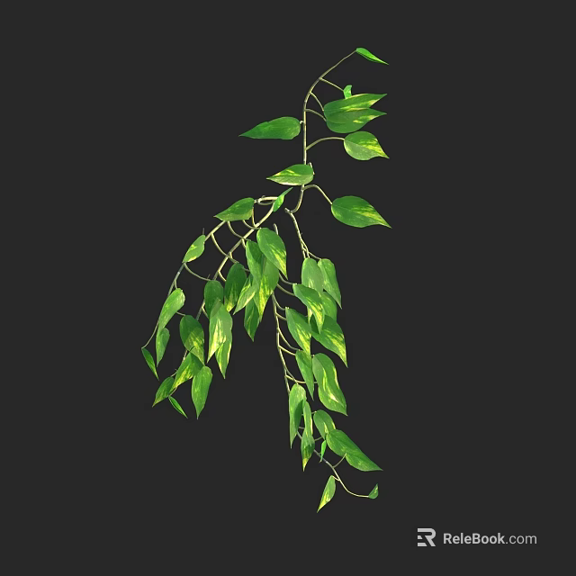 Lush Green Hanging Plant With Trailing Vines And Fresh Leaves 3d model 