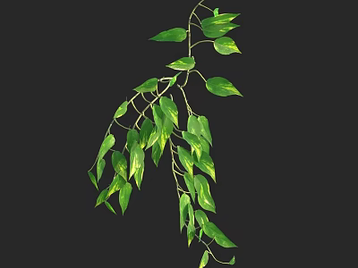 Lush Green Hanging Plant With Trailing Vines And Fresh Leaves 3d model
