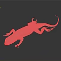 Lizard With Blue Brown Patterns And White Back Tag Against Gray Gradient Background