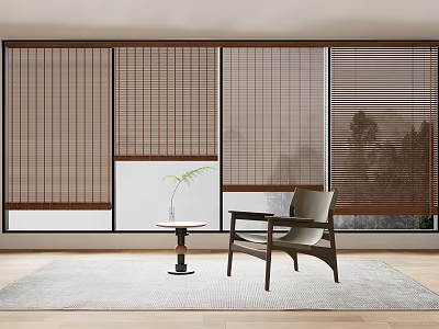 Bamboo Blinds In Modern Living Room With Chair Table Plant And Rug 3d model