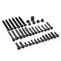Assorted Black Screws and Bolts Hardware Fasteners with Various Sizes and Head Styles