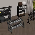 Modern Home Gym Setup With Dumbbells Fitness Balls And Equipment Shelves