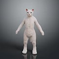 White Cat Standing Upright Full Body With Blue Eyes On Dark Background