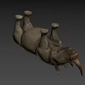 Realistic 3D Rhinoceros Model With Detailed Skin Texture And Horns