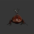 Modern Beetle Dung Beetles 3d model