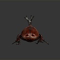 Modern Beetle Beetle Dung Beetles 3d model