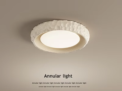 Modern Annular Ceiling Light with Unique Textured Design for Modern Home Interior Decoration 3d model