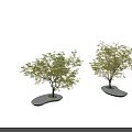 Modern Tree Planter Design With Green Trees And Oval White Base 3d model