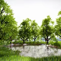 Scenic Park Landscape With Lush Green Trees Small Pond And Grassland