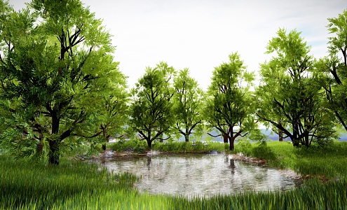 Modern Lake Green Tree Garden Park Tree Water Lake Landscape Tree Vegetation Villa High-end Landscape Natural Plant Landscaping 3d model