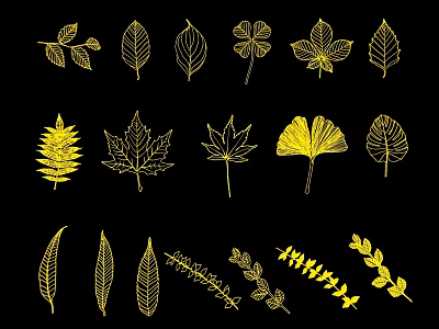 Golden Leaf Silhouettes With Various Types And Shapes On Black Background 3d model