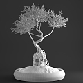 Bonsai Plant 02 3d model