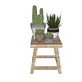 Various Potted Succulents And Cacti On Wooden Stool Against Gray Textured Wall