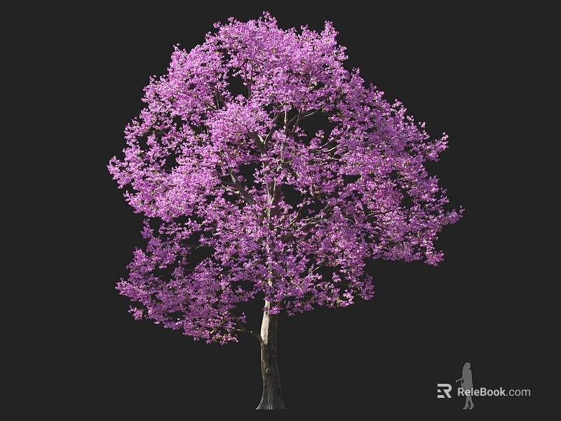 Vibrant Purple Flowering Tree With Lush Canopy And Human Silhouette For Scale 3d model 
