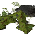 Plant Combination with Moss Covered Terrain Ferns Rocks and Small Plants