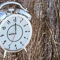 Silver Alarm Clock With White Dial And Black Numbers Against Sky Clouds Background