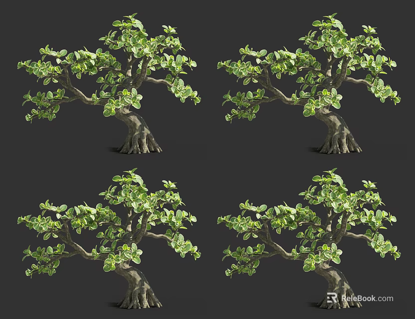 Realistic Arbor 3D Model With Green Leaves Thick Trunk Multiple Views 3d model