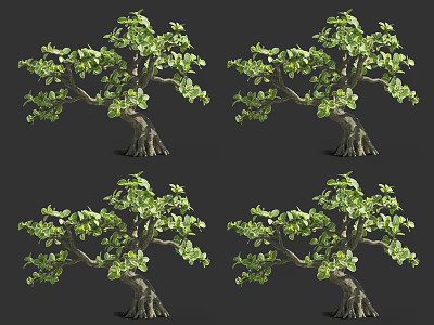 Realistic Arbor 3D Model With Green Leaves Thick Trunk Multiple Views 3d model