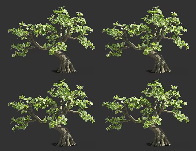 Realistic Arbor 3D Model With Green Leaves Thick Trunk Multiple Views 3d model